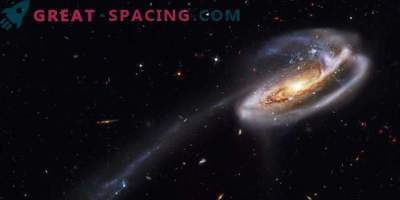 Wissenschaftler analysieren galaktische Cluster des frühen Universums