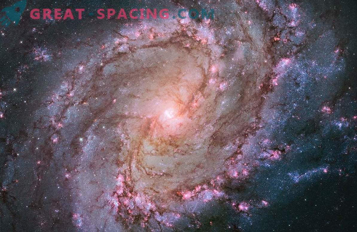 Das Hubble-Teleskop zeigte das Leben von Sternen in der South Pinwheel-Galaxie.