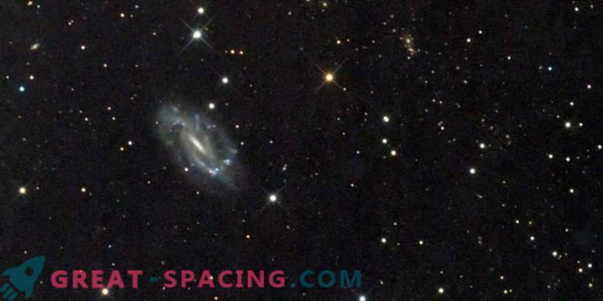 Gibt es ein seltenes Schwarzes Loch in der Galaxie NGC 3319?