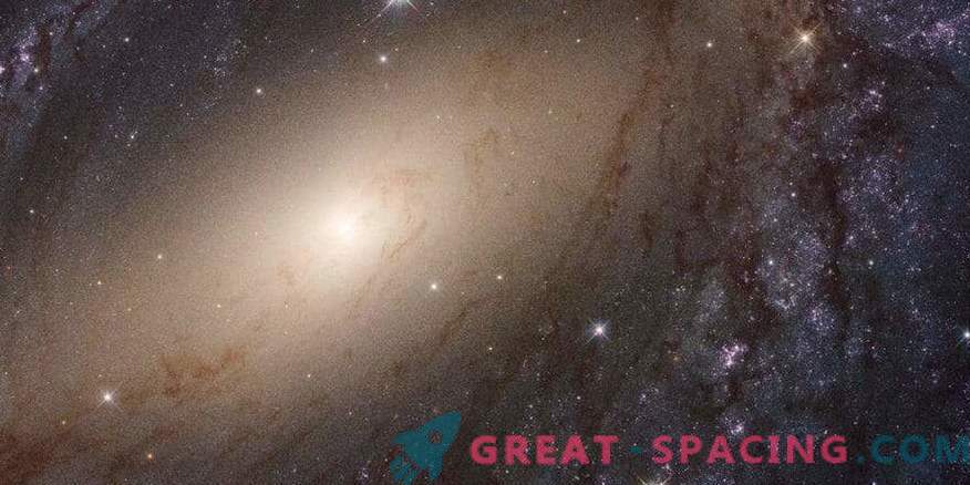 Wissenschaftler haben eine vollständige Überprüfung des UV-Lichts benachbarter Galaxien veröffentlicht.