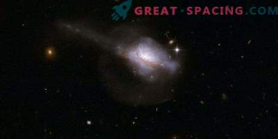 Aktiivsed galaktilised tuumad ja tähe sünnitus