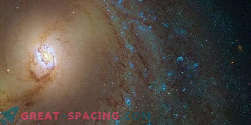 Die erstaunlichen Ringe der Galaxie M 95