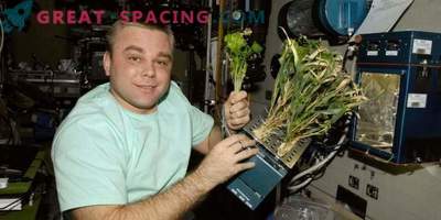 Experiment zur Sauerstoffverarbeitung auf der ISS