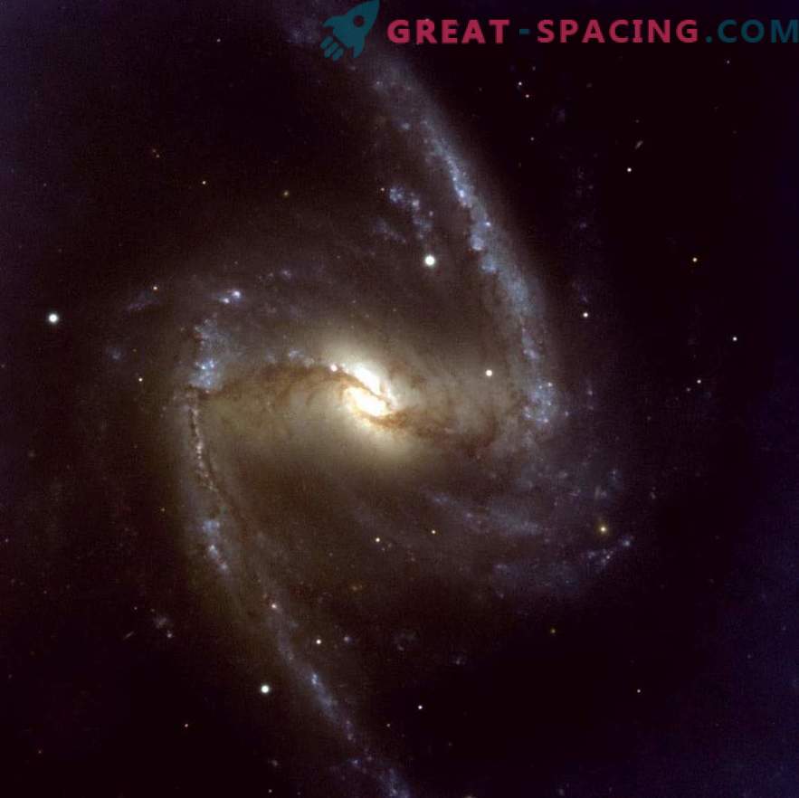 Sternentstehung und Gasflüsse in der Galaxie NGC 1365