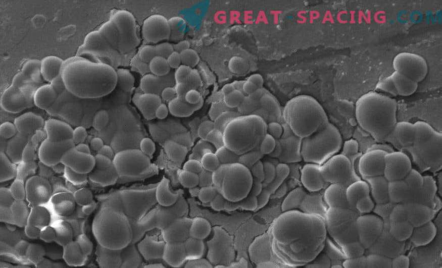 Abdrücke von Mikroben auf Marsgesteinen