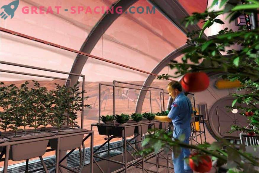 Die NASA wird Pflanzen zum Mars schicken?