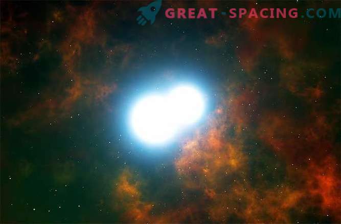 Die Fusion zweier weißer Zwerge wird zur Bildung einer Supernova führen.
