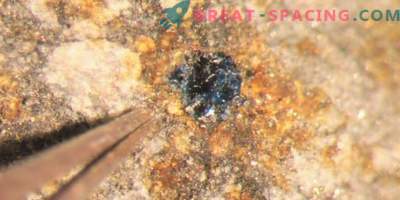 Meteoriten verstecken Zutaten fürs Leben.